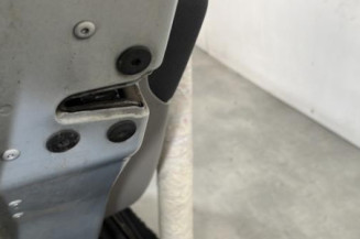 Porte arriere gauche RENAULT MODUS