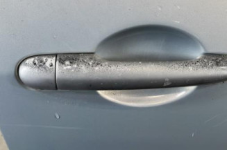 Porte avant droit RENAULT MODUS