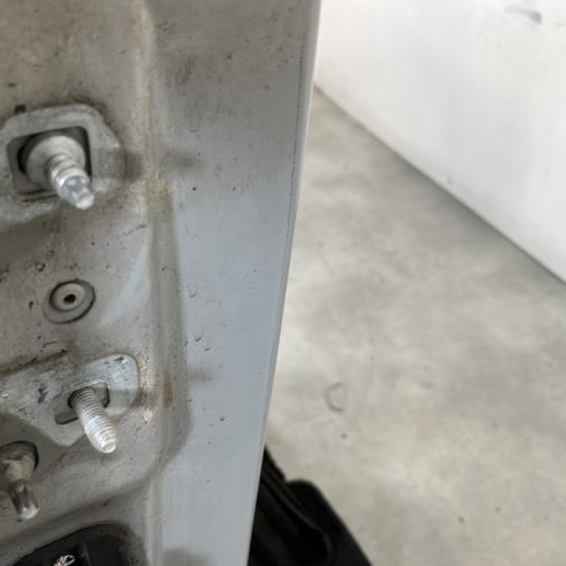 Porte avant droit RENAULT MODUS Photo n°5