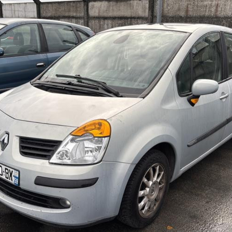 Porte avant droit RENAULT MODUS Photo n°8