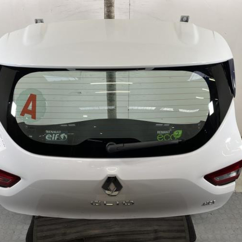 Malle/Hayon arriere RENAULT CLIO 4 Photo n°1