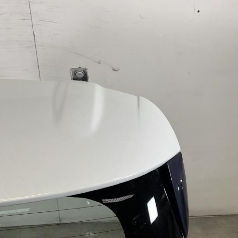 Malle/Hayon arriere RENAULT CLIO 4 Photo n°3