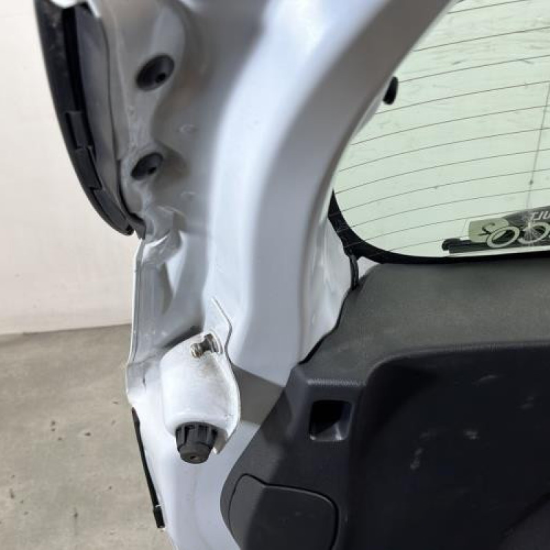 Malle/Hayon arriere RENAULT CLIO 4 Photo n°9