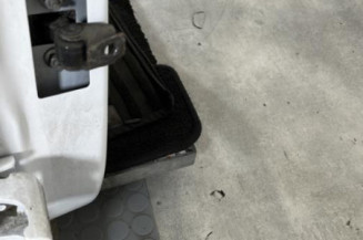 Porte arriere droit RENAULT CLIO 4