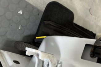 Porte arriere gauche RENAULT CLIO 4