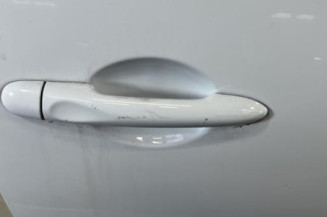 Porte avant droit RENAULT CLIO 4