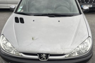 Malle/Hayon arriere PEUGEOT 206