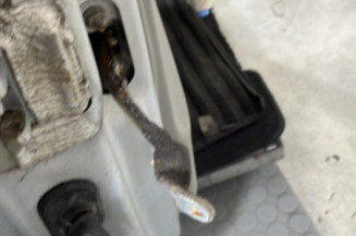 Porte avant droit RENAULT CLIO 2