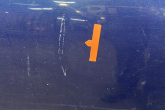 Porte arriere droit RENAULT CLIO 2