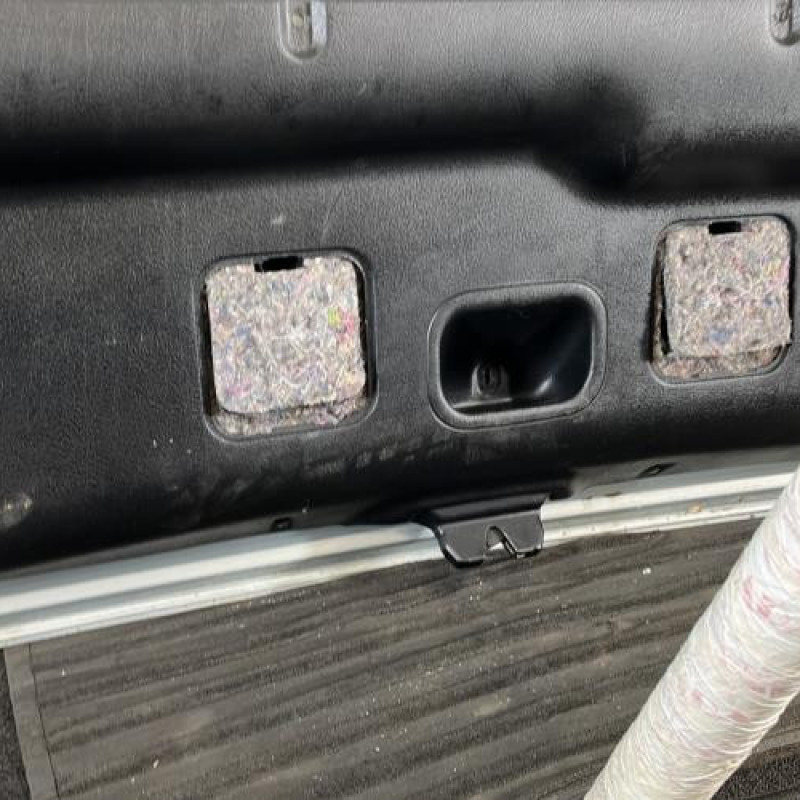 Malle/Hayon arriere RENAULT LAGUNA 1 Photo n°12