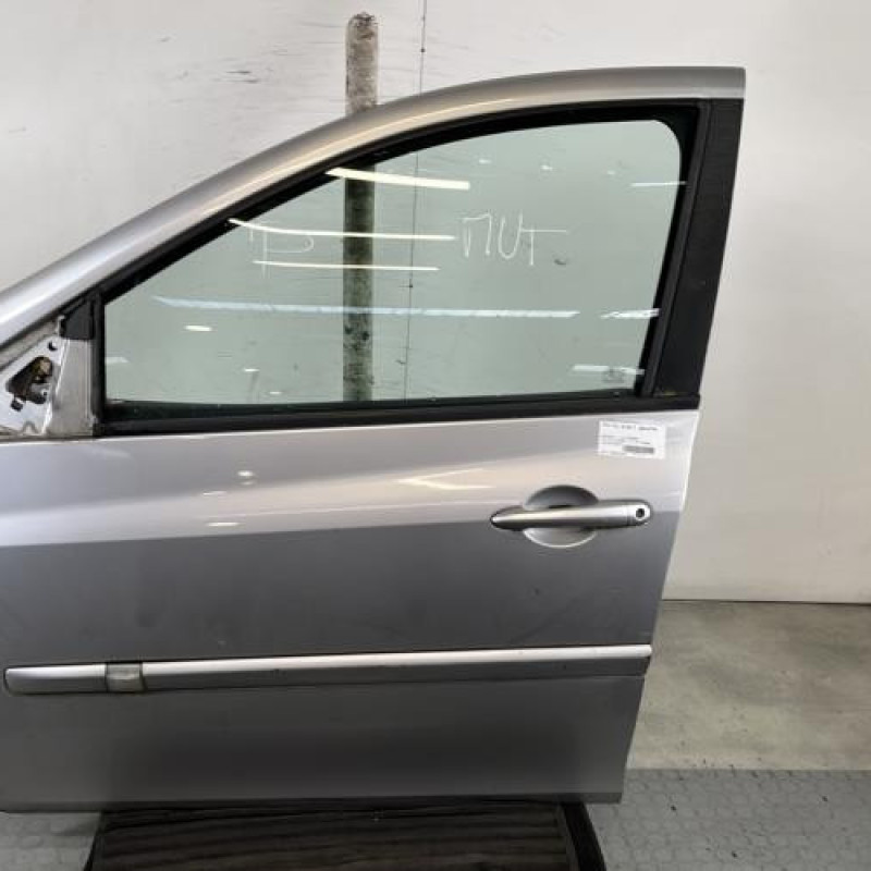 Porte avant gauche RENAULT CLIO 3 Photo n°1