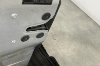 Porte avant gauche RENAULT CLIO 3