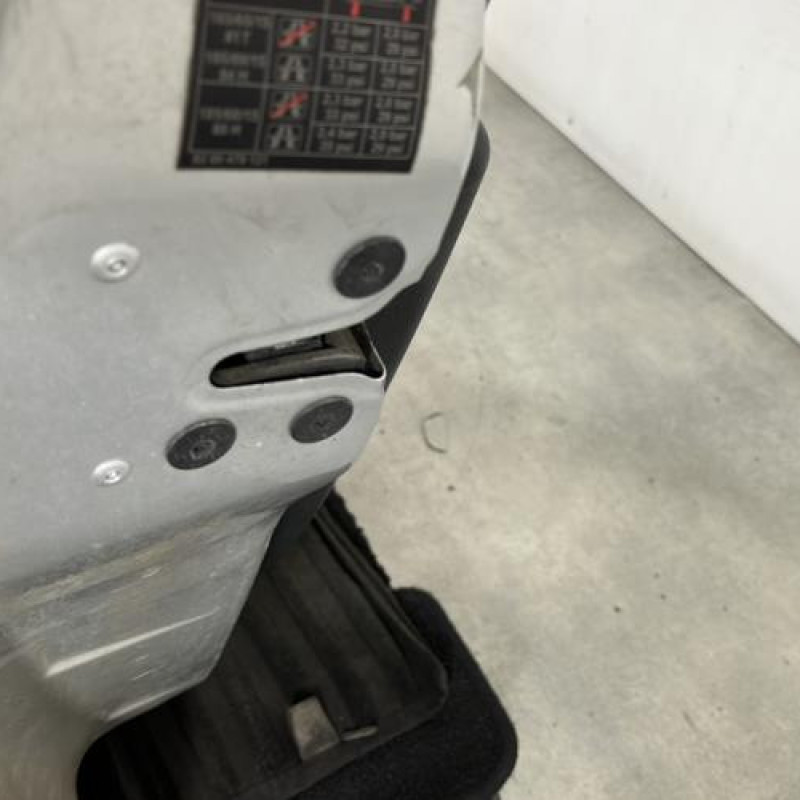 Porte avant gauche RENAULT CLIO 3 Photo n°3