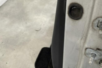 Porte avant gauche RENAULT CLIO 3