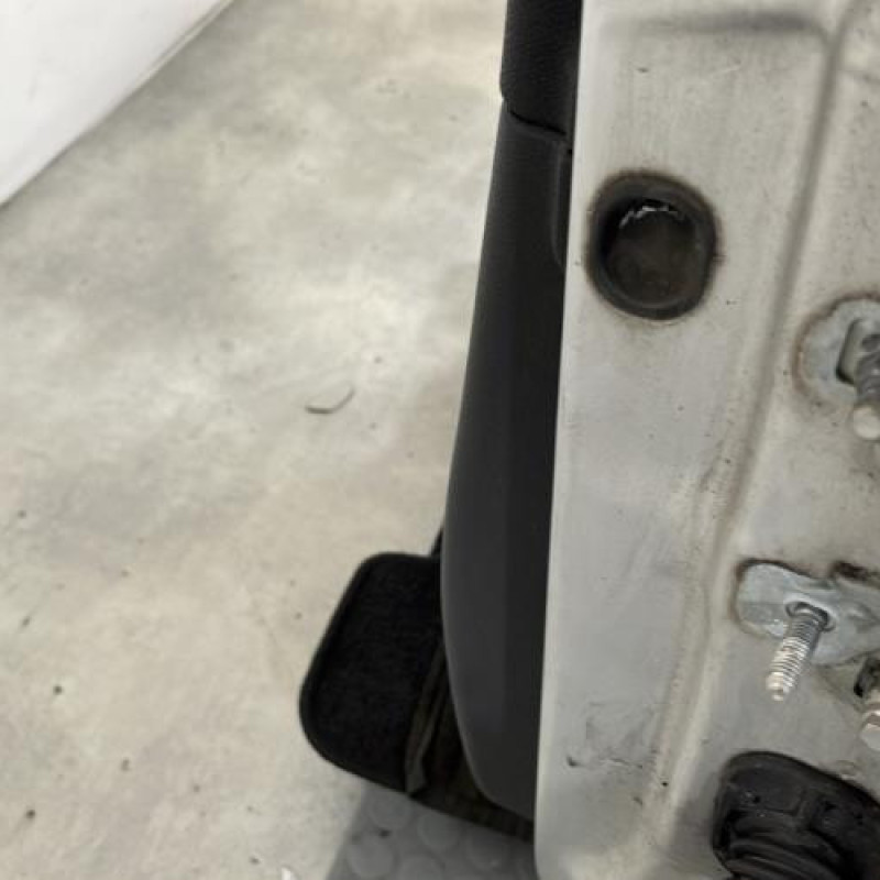 Porte avant gauche RENAULT CLIO 3 Photo n°4