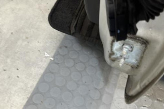 Porte avant gauche RENAULT CLIO 3