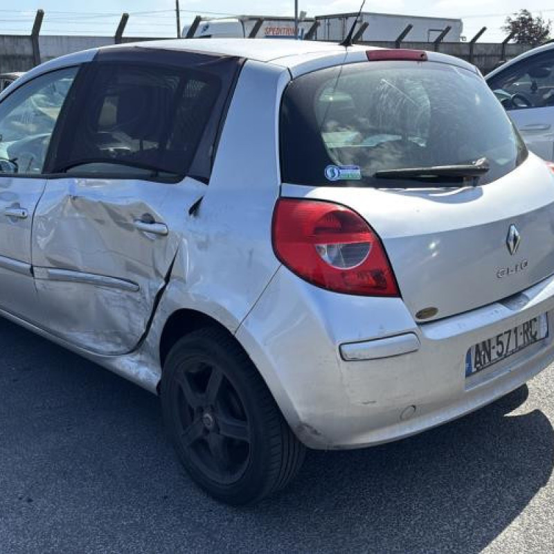 Porte avant gauche RENAULT CLIO 3 Photo n°10