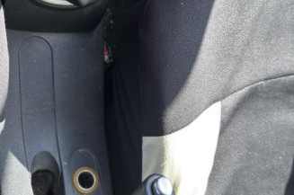 Porte avant gauche RENAULT CLIO 3