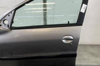 Porte avant gauche PEUGEOT 206 Photo n°1