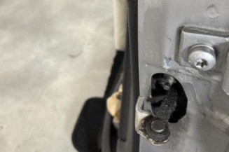 Porte avant gauche PEUGEOT 206