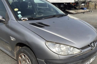 Porte avant gauche PEUGEOT 206