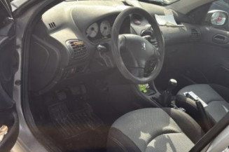Porte avant gauche PEUGEOT 206