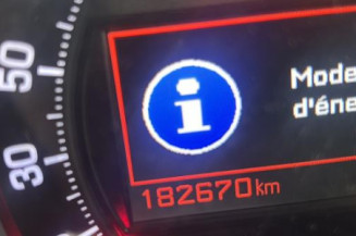 Porte arriere gauche CITROEN C5 2