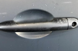 Porte avant gauche RENAULT MODUS