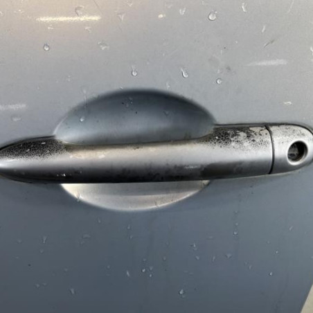 Porte avant gauche RENAULT MODUS