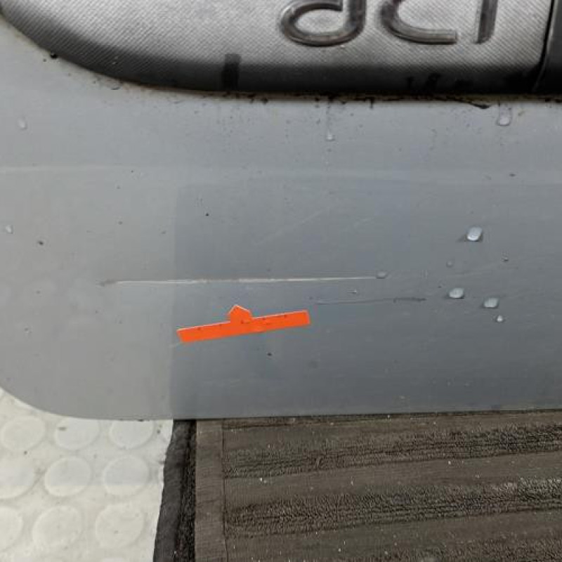 Porte avant gauche RENAULT MODUS Photo n°5