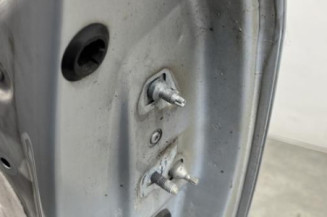 Porte avant gauche RENAULT MODUS