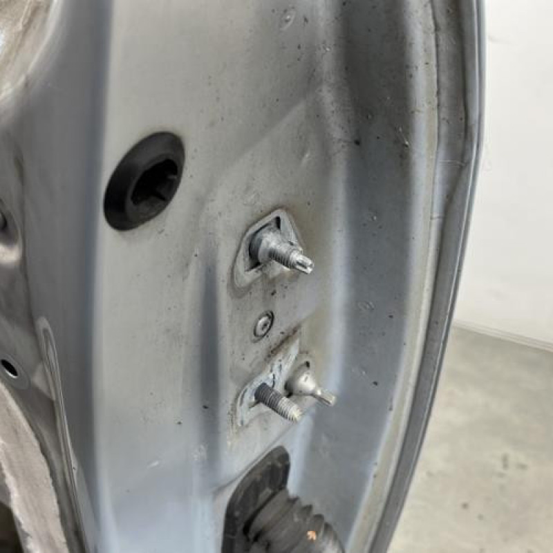 Porte avant gauche RENAULT MODUS Photo n°6