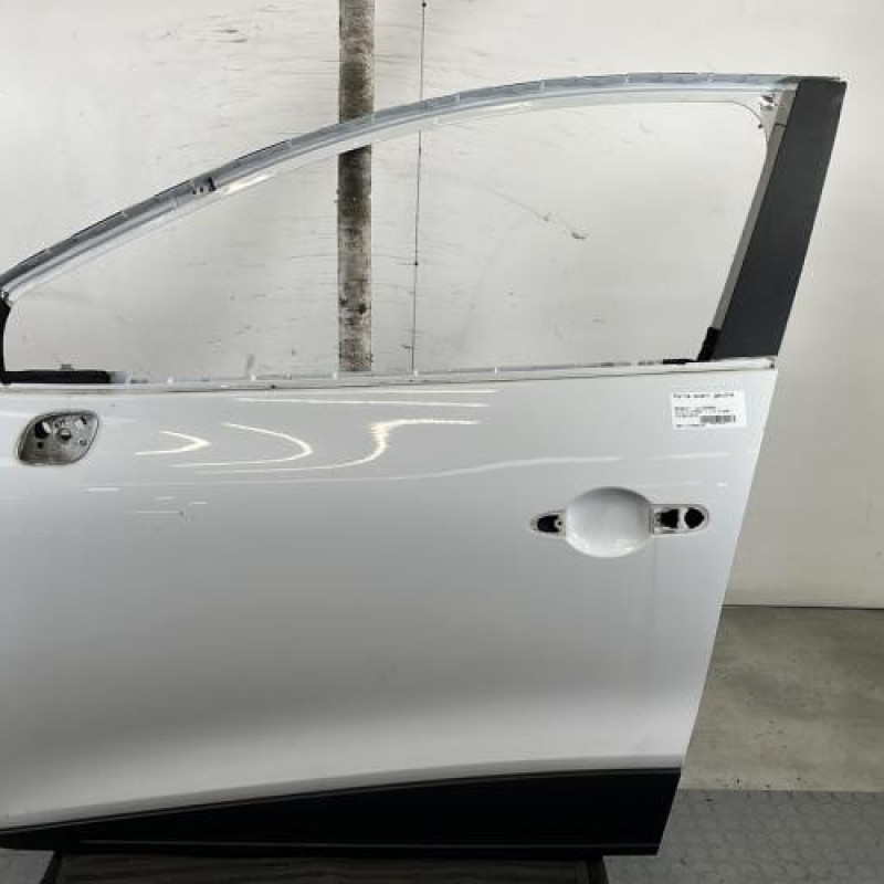 Porte avant gauche RENAULT CLIO 4 Photo n°1