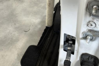 Porte avant gauche RENAULT CLIO 4