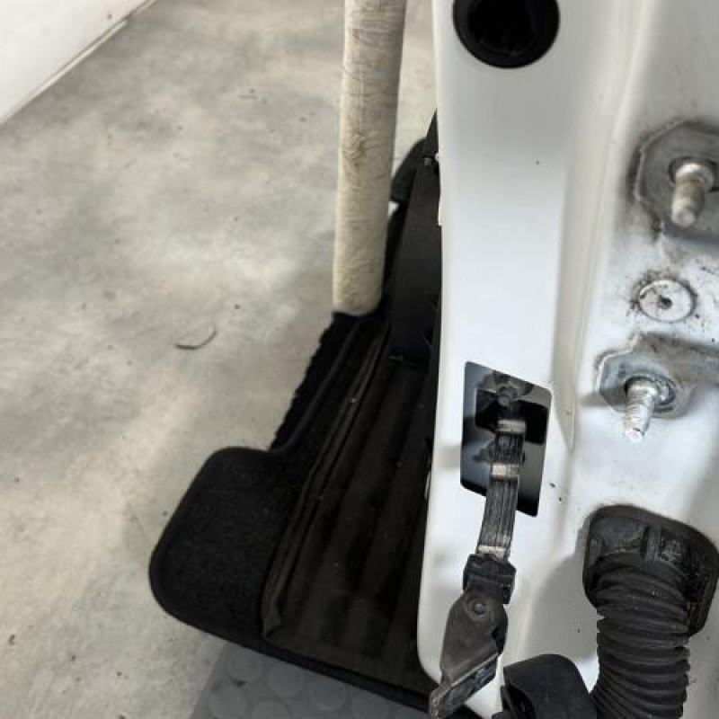 Porte avant gauche RENAULT CLIO 4 Photo n°2