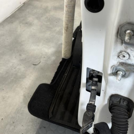 Porte avant gauche RENAULT CLIO 4