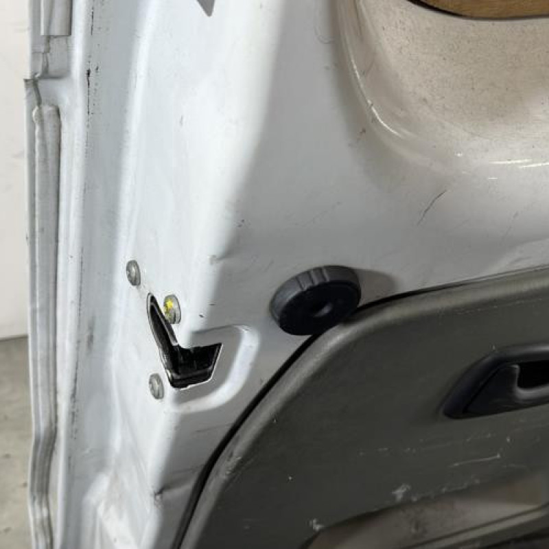 Porte de coffre gauche OPEL VIVARO 1 Photo n°3