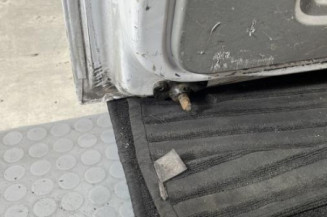 Porte de coffre gauche OPEL VIVARO 1