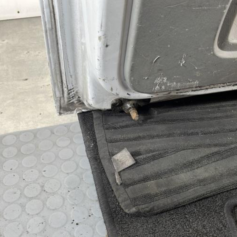 Porte de coffre gauche OPEL VIVARO 1 Photo n°4