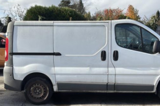 Porte de coffre gauche OPEL VIVARO 1