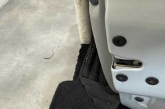 Porte avant droit RENAULT CLIO 2