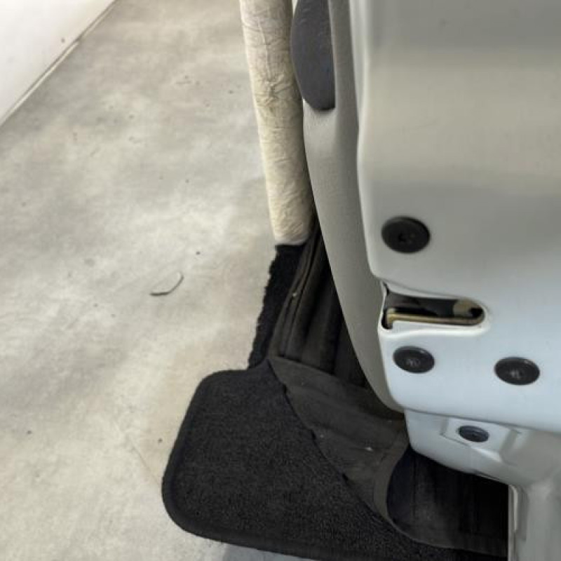 Porte avant droit RENAULT CLIO 2 Photo n°3