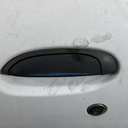 Porte avant gauche RENAULT CLIO 2