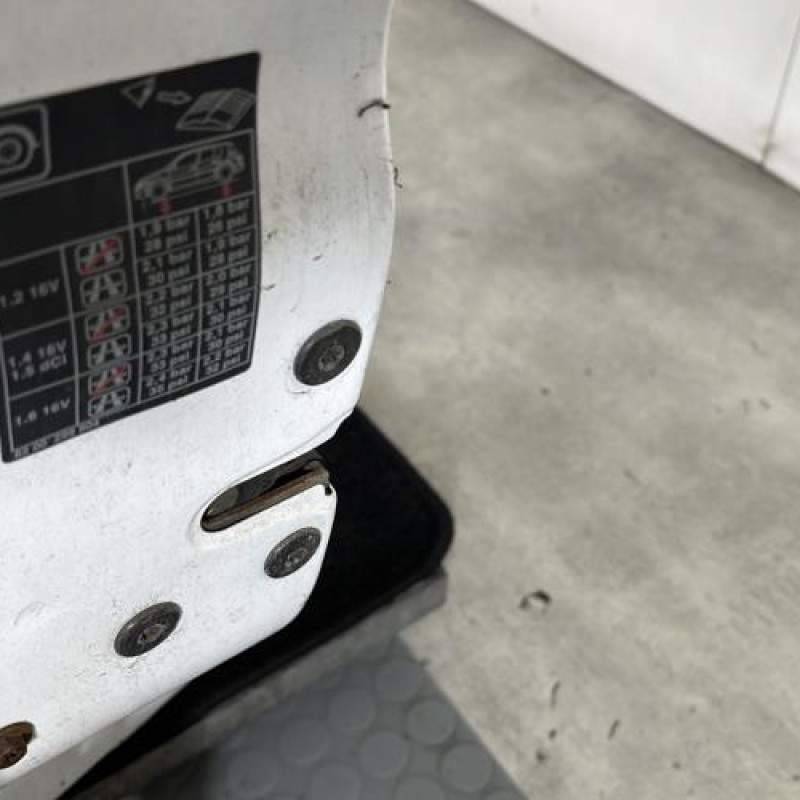 Porte avant gauche RENAULT CLIO 2 Photo n°3