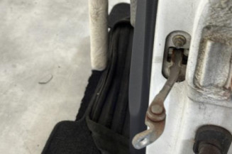 Porte avant gauche RENAULT CLIO 2