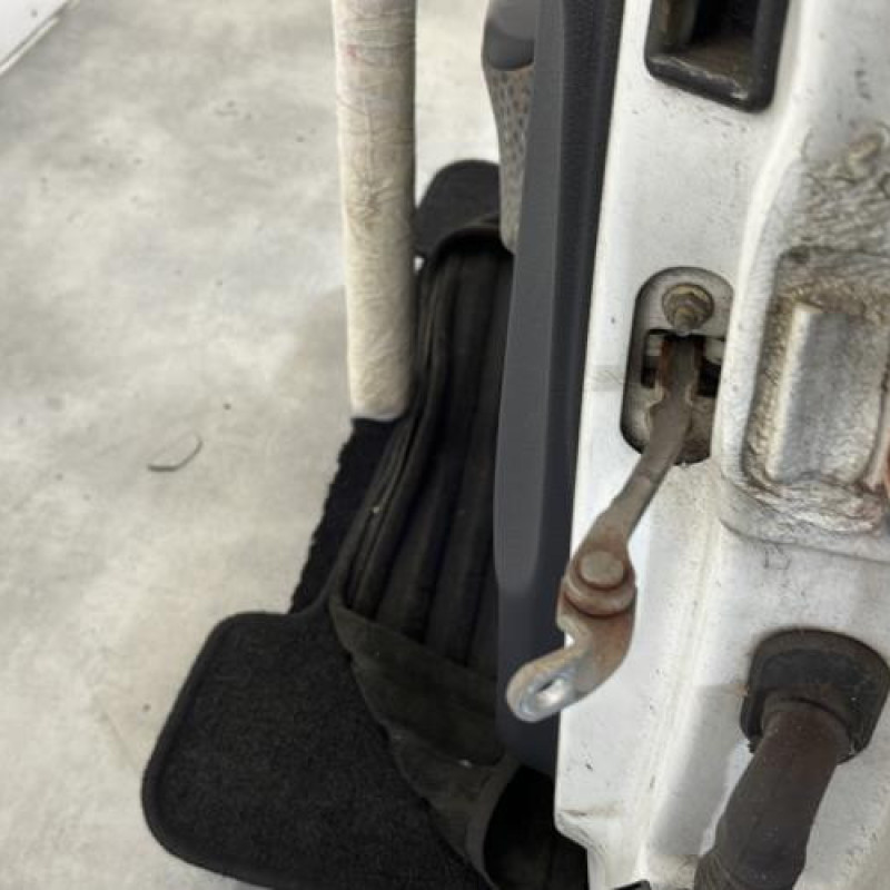 Porte avant gauche RENAULT CLIO 2 Photo n°4