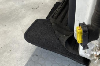 Porte avant gauche RENAULT CLIO 2