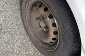 Porte avant gauche RENAULT CLIO 2