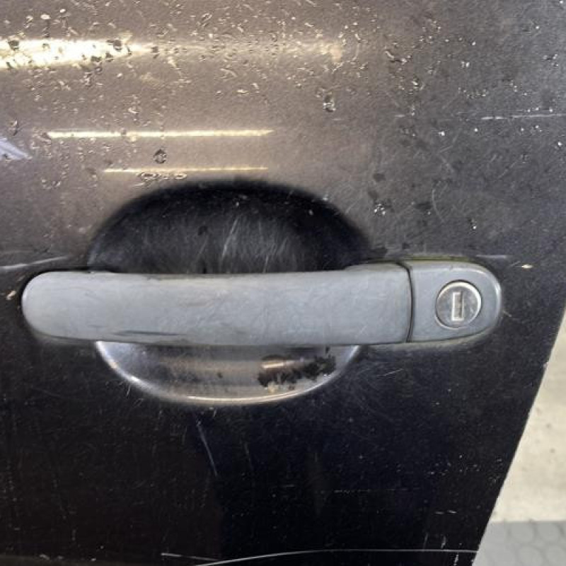 Porte avant gauche SEAT ALTEA Photo n°2