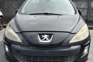 Mastervac PEUGEOT 308 1